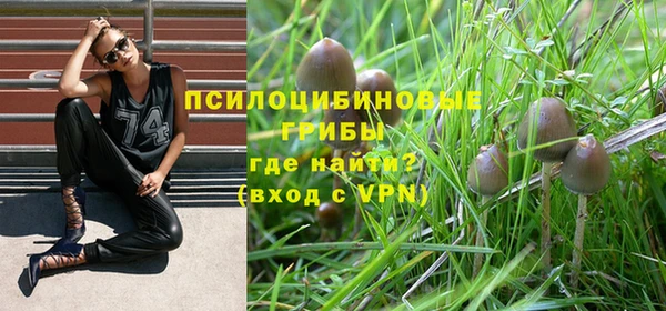 скорость mdpv Гусев