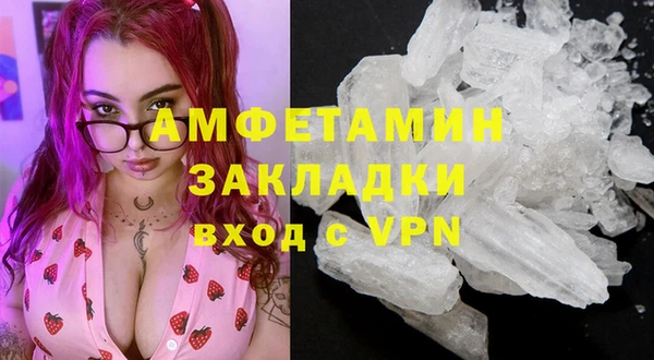 крисы Горняк