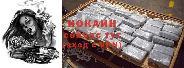 крисы Горняк