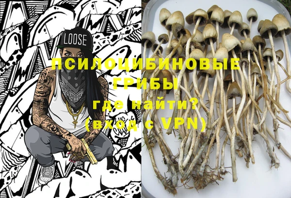 спиды Горнозаводск